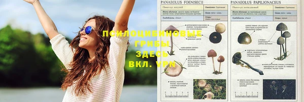 молекула духа Балахна